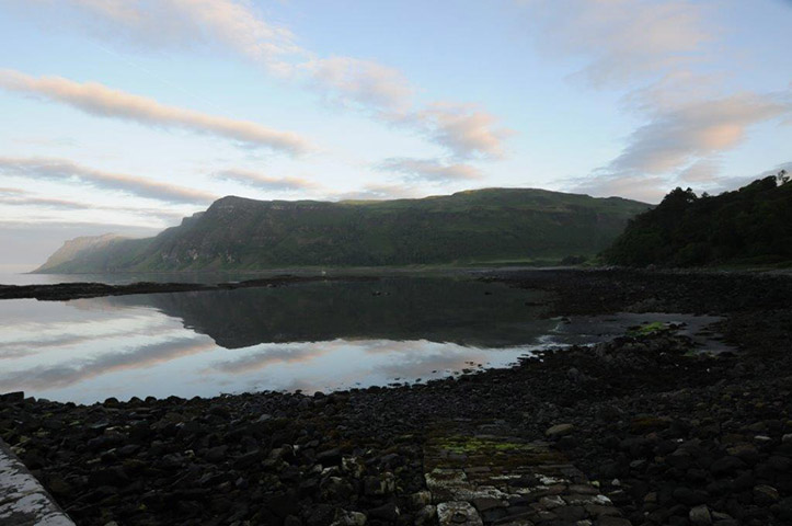 photo mull