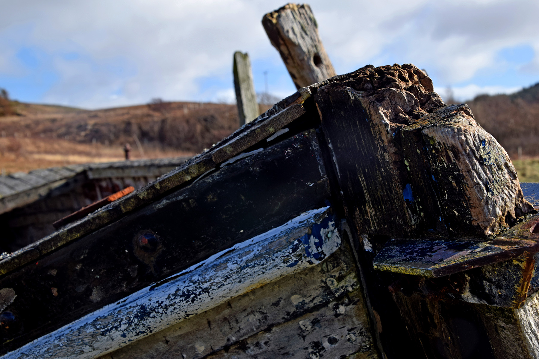 photo mull