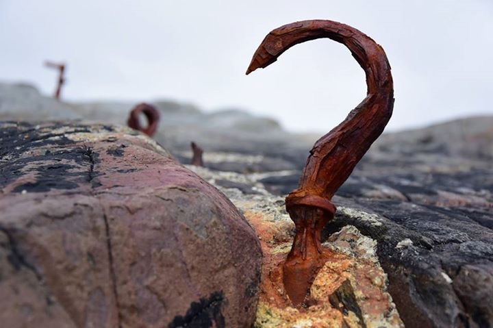 photo mull